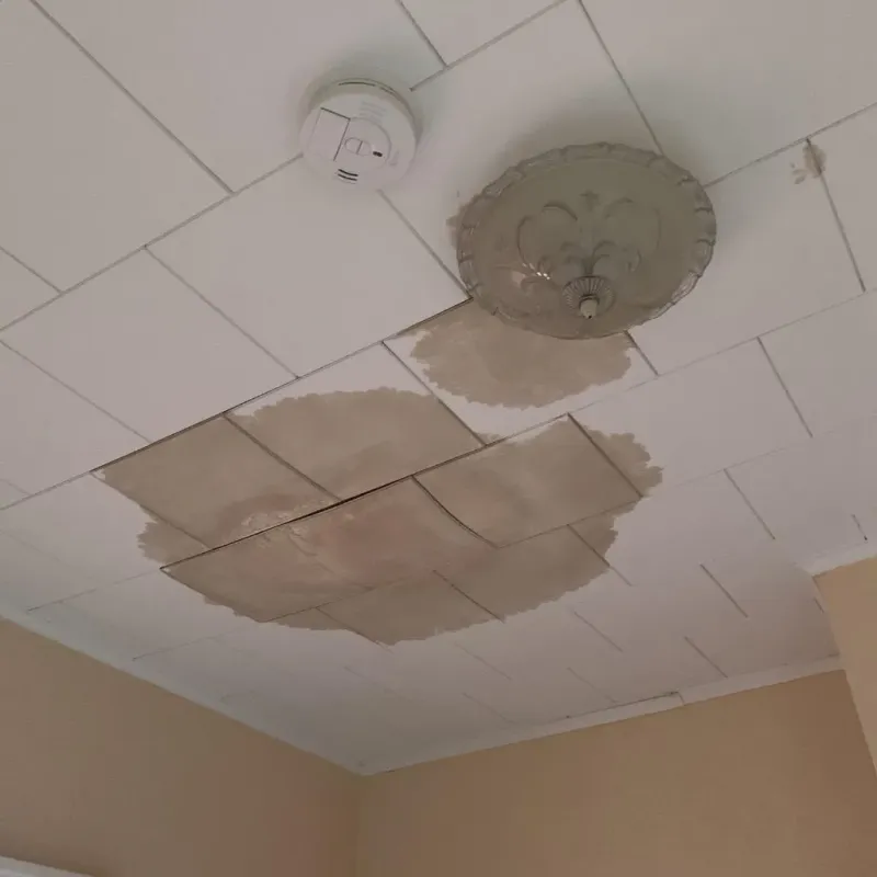 Ceiling Water Damage Repair in Crosby, TX