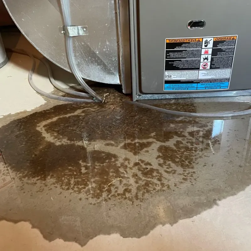 Pipe Burst and Leak Restoration in Crosby, TX
